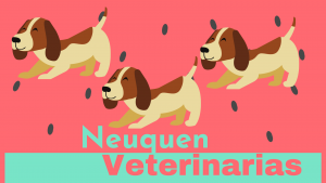 🐶 Veterinarias en Neuquén
